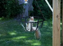 K1600_021.webp K1600_021.webp