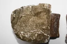 Rock top.webp