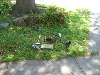 IMG_2122.webp