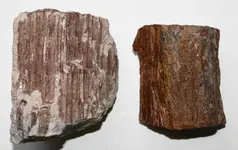 Rock two more.webp