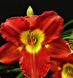 DSCN1283.webp