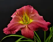 DSCN1291.webp