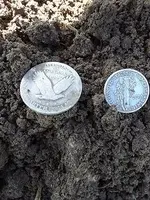 Double Silver reverse.webp