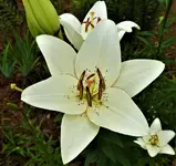 DSCN1293.webp