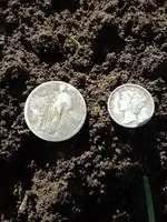Double Silver.webp