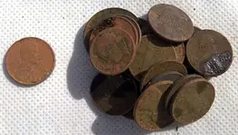 Coins.webp