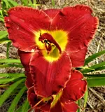 DSCN1298.webp