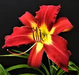 DSCN1284.webp