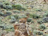 trip 051218 5.webp