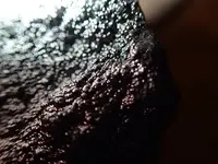 P4170003.webp P4170003.webp