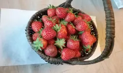 20180511_184911.webp
