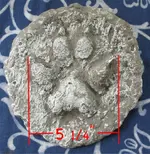 plaster cast.webp