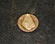 DSC_0003.webp