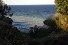 Arkona1.webp