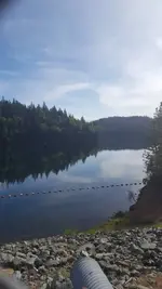 20180519_085632.webp 20180519_085632.webp