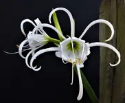 DSCN1396.webp