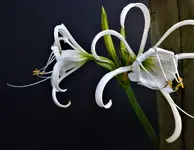 DSCN1397.webp
