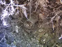 DSCF4035.webp