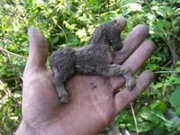 DSCF3973.webp