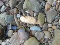 048.webp