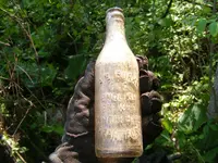 DSCF3954.webp