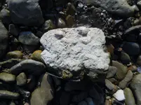 046.webp