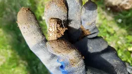 20180520_145127.webp