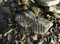 025.webp