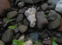024.webp