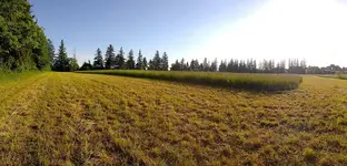 WP_20180617_07_23_52_Panorama.webp