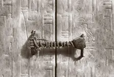 MtEBdAG (2).webp