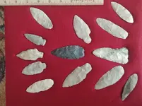20180701_113905.webp
