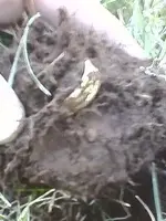 Image0 (2).webp