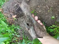 20180520_115050.webp