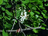 K1600_020.webp