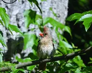 K1600_024.webp