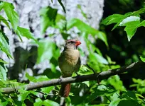 K1600_025.webp