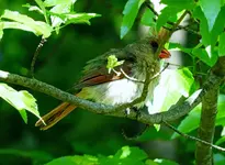 K1600_027.webp