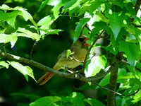 K1600_028.webp