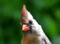 K1600_005.webp