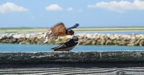 K1600_311_InPixio.webp