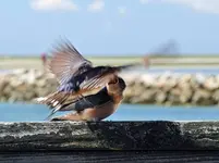 K1600_314_InPixio.webp