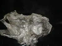 20180610_075844.webp