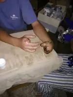 IMG952018060695214932_02.webp