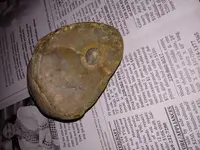 20180701_151402.webp
