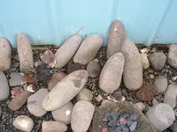 004.webp