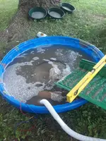 20180701_164358.webp