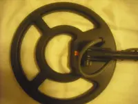 DSCF5244.webp
