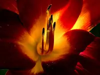 DSCN1794.webp