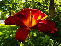 DSCN1796.webp